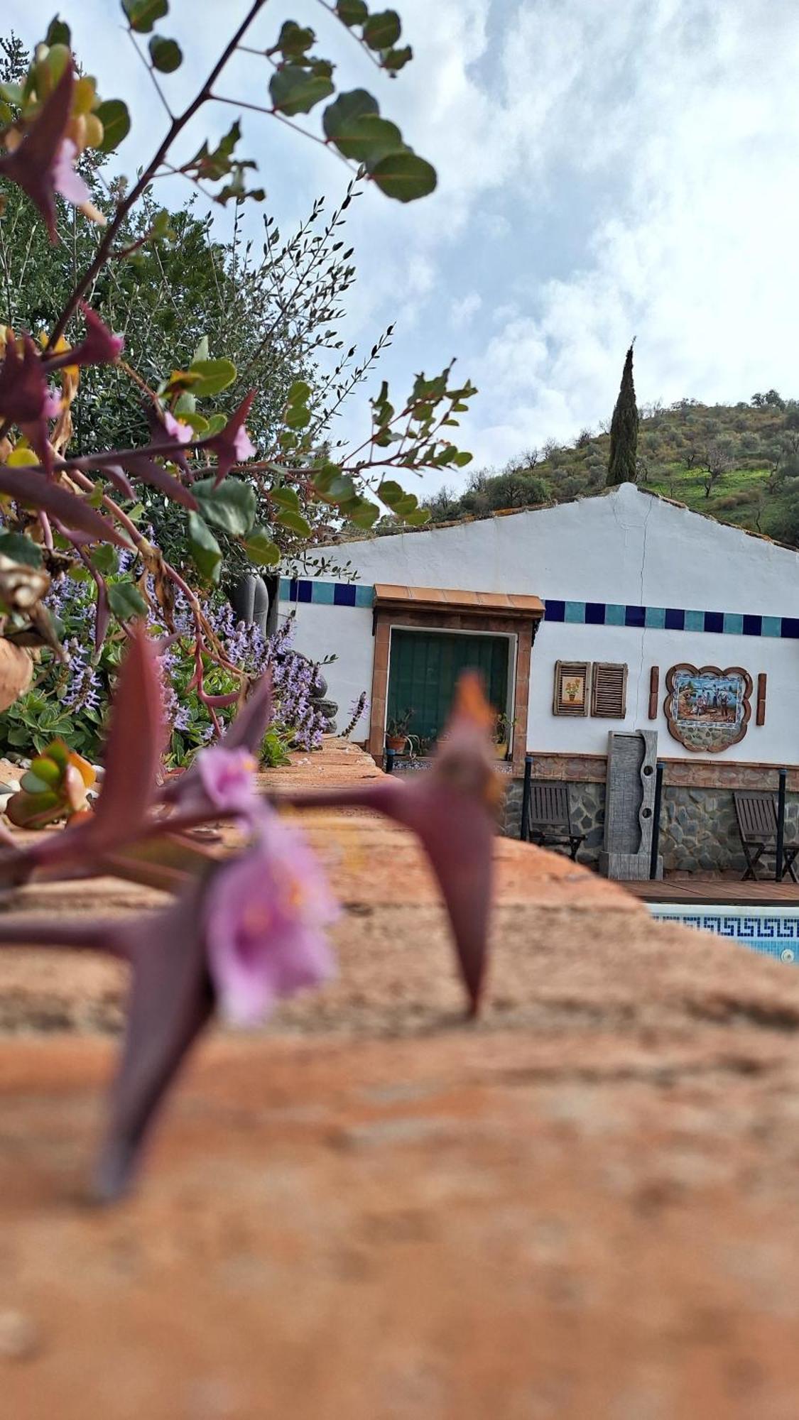 Finca Los Burros Totalan Ngoại thất bức ảnh